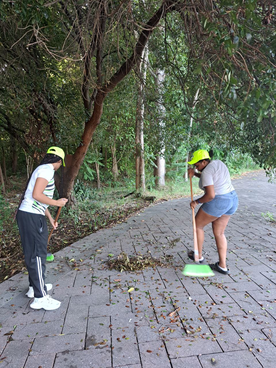 Informe de calidad de aire