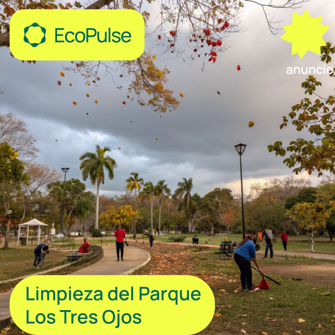 Lanzamiento del proyecto FUNECOINT